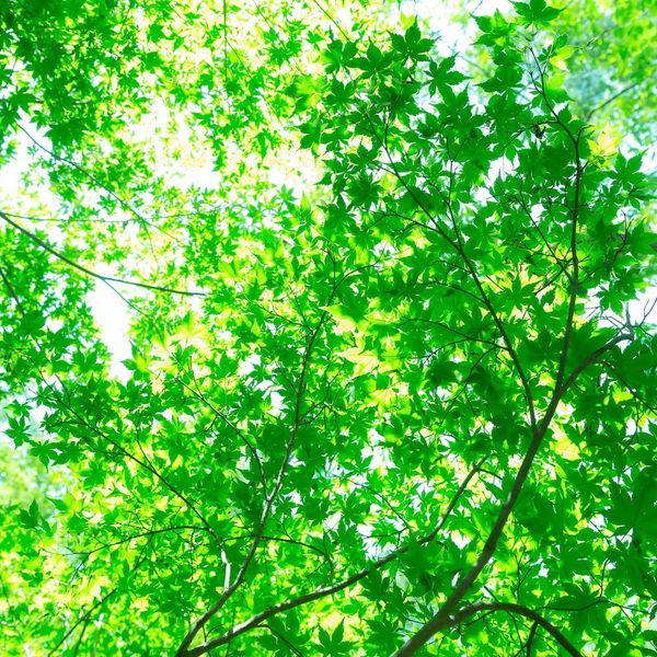 整骨院で筋力UP！！EMSでトレーニングができます☆